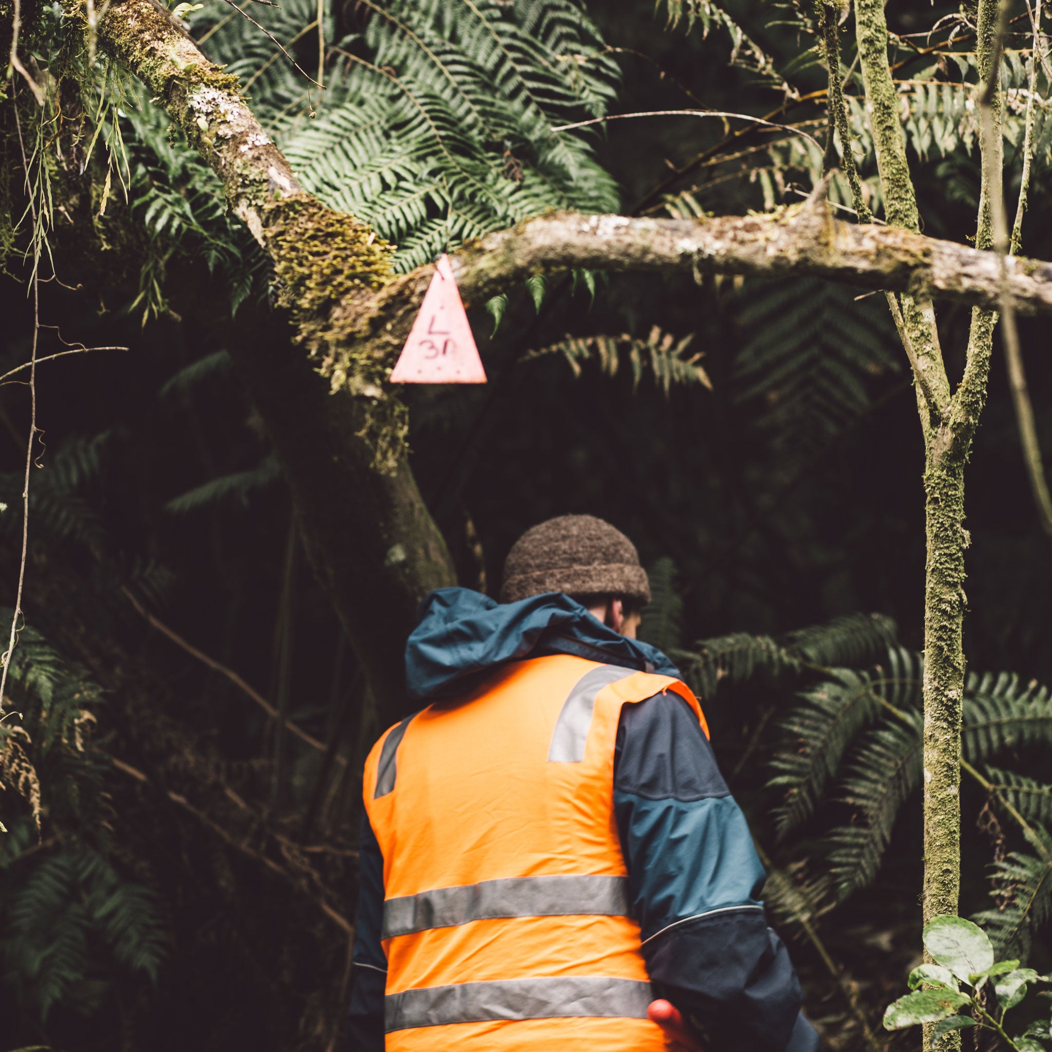 Rotoehu Ecological Trust trip October 2019