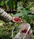 Kōkako Sustainability